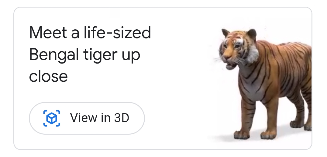 3D animals